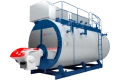 gas fired boiler